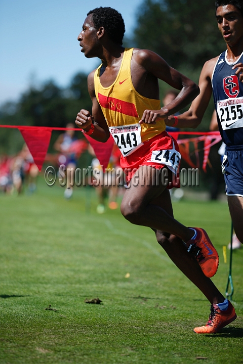 2014StanfordD2Boys-079.JPG - D2 boys race at the Stanford Invitational, September 27, Stanford Golf Course, Stanford, California.